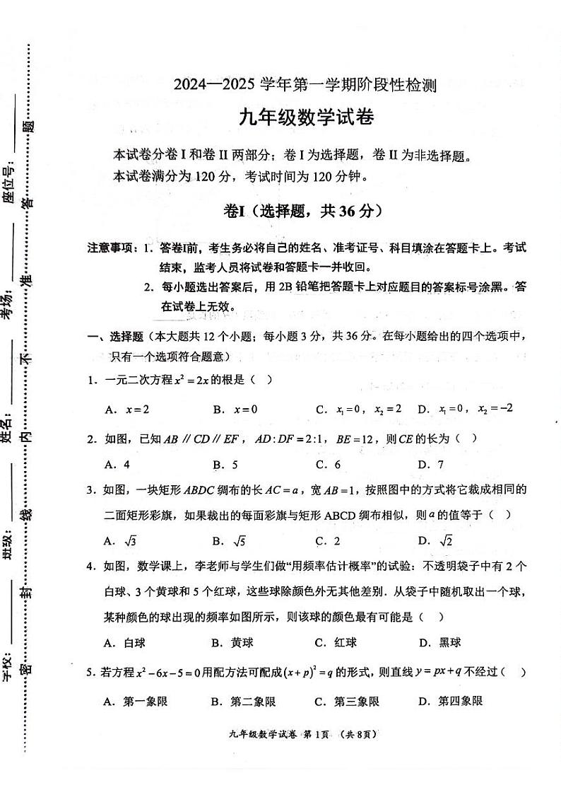 2024-2025学年第一学期期中九年级数学第1页