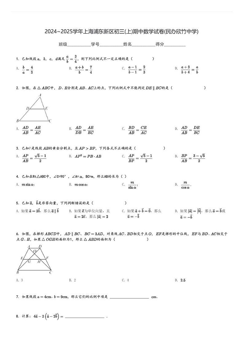2024～2025学年上海浦东新区初三(上)期中数学试卷(民办欣竹中学)[原题+解析]第1页