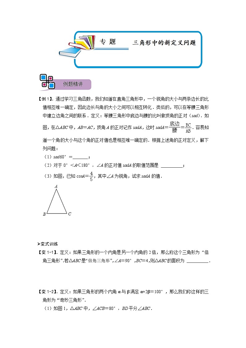 专题72 三角形中的新定义问题（原卷版）第1页