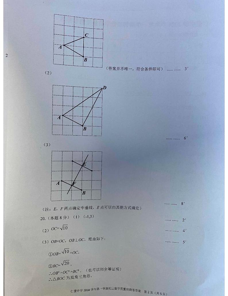 浙江省宁波市镇海区仁爱中学2024-2025学年八年级上学期数学期中试卷02