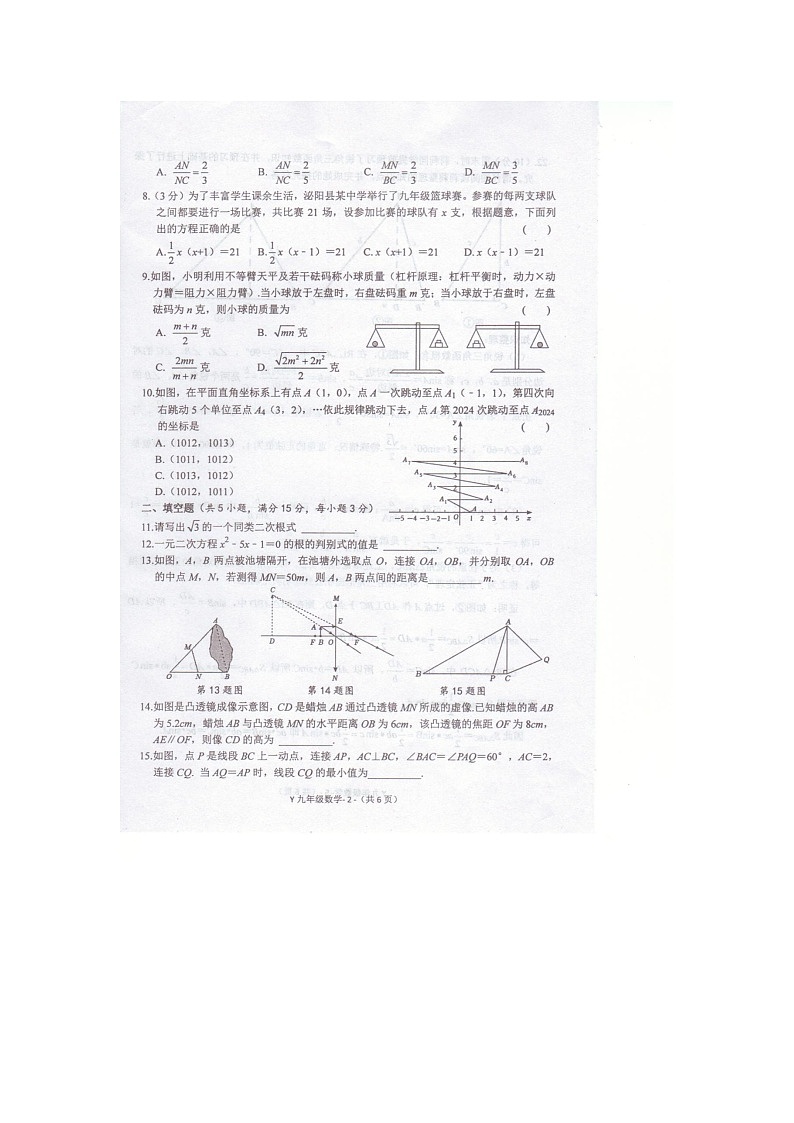 河南省驻马店市泌阳县2024-2025学年九年级上学期11月期中数学试题第2页