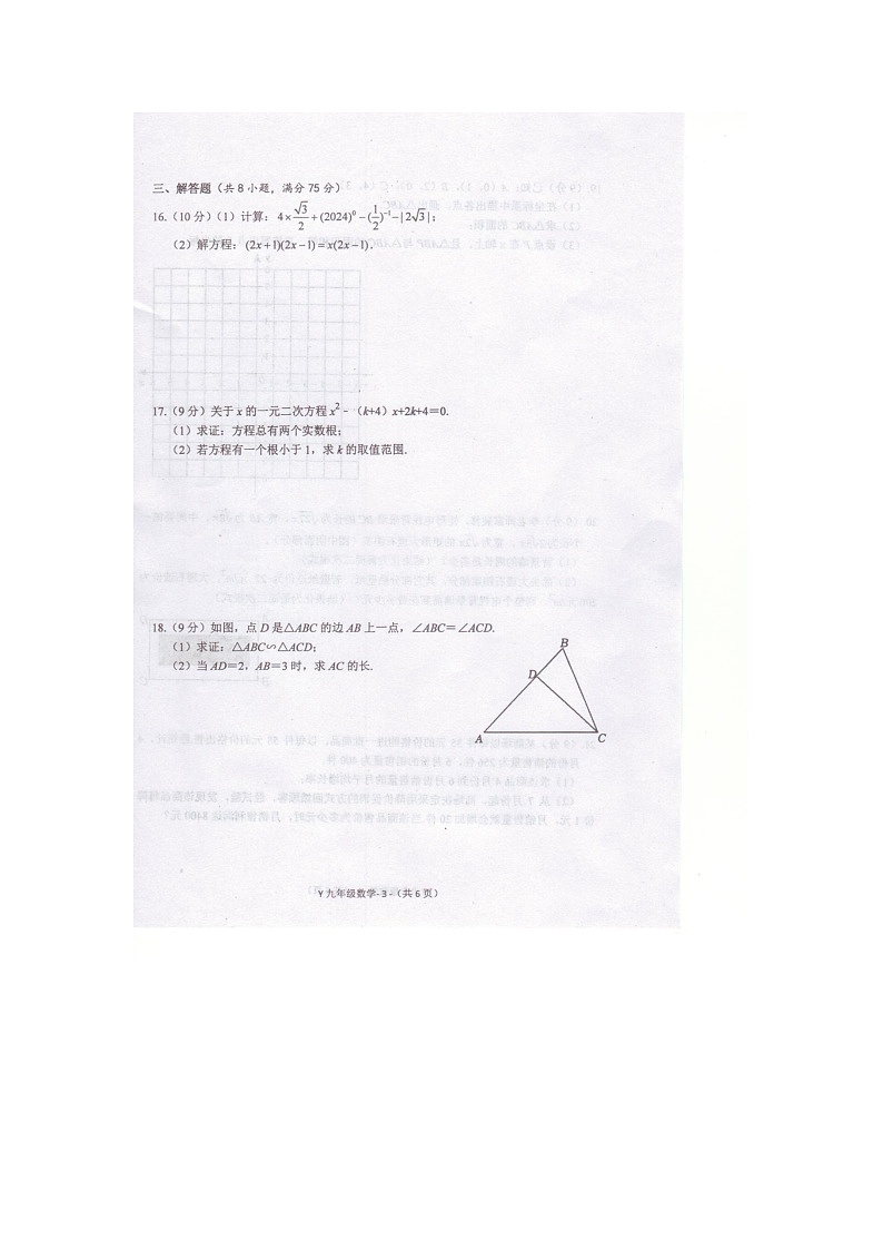 河南省驻马店市泌阳县2024-2025学年九年级上学期11月期中数学试题第3页