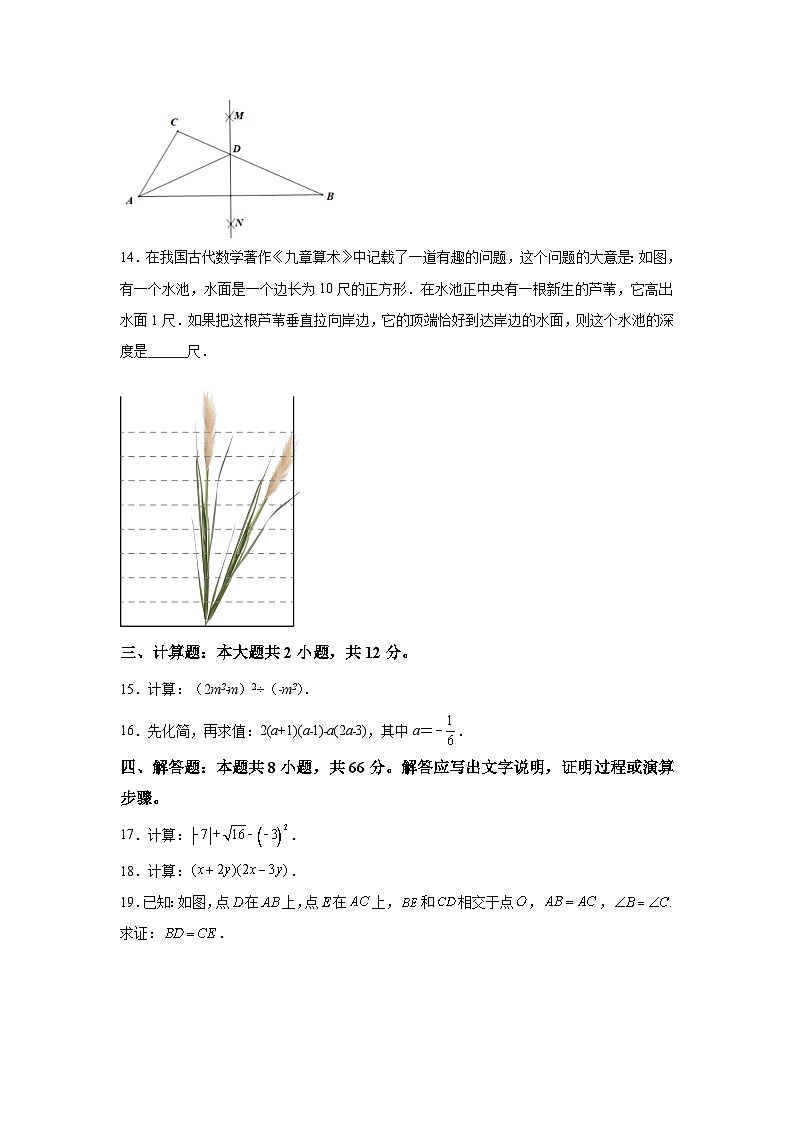 吉林省长春市榆树市2023-2024学年八年级上学期期末数学试题(含解析)第3页