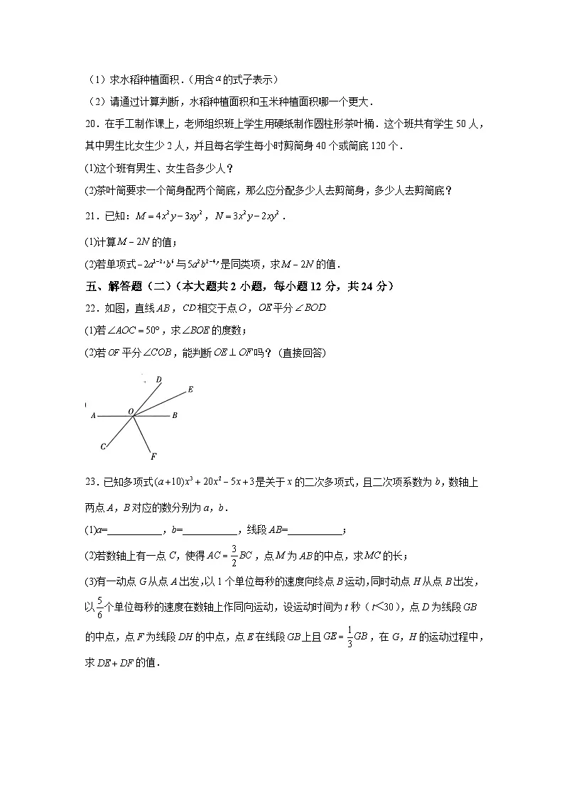 广东省湛江市徐闻县2023-2024学年七年级上学期期末数学试题(含解析)第3页