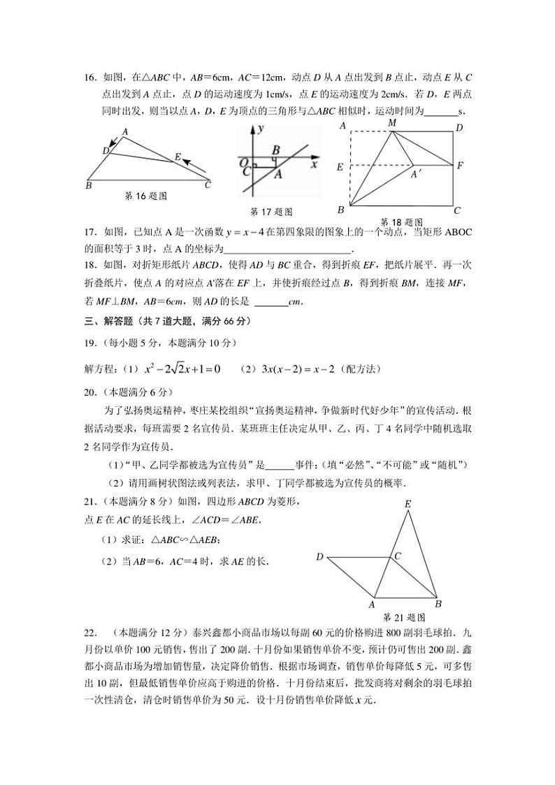山东省枣庄市台儿庄区2024～2025学年九年级上学期11月期中数学试题（含答案）第3页