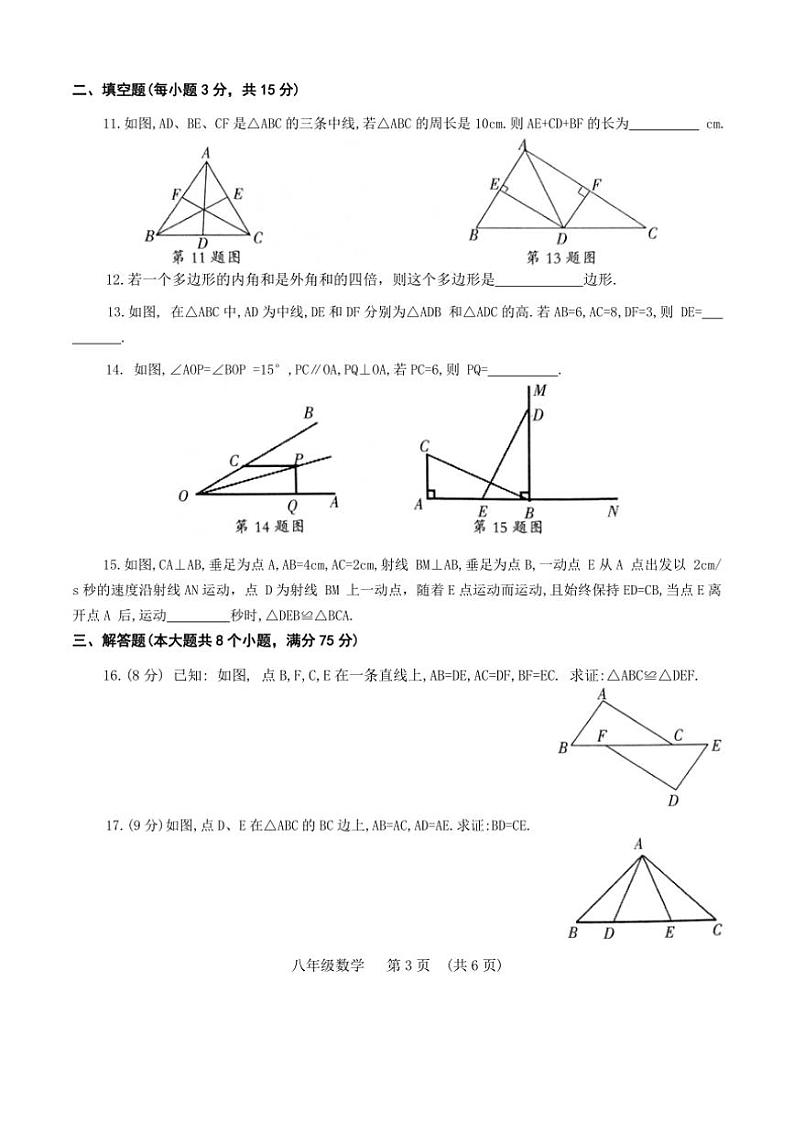 河南省濮阳市2024～2025学年八年级上学期11月期中考试数学试题（含答案）第3页