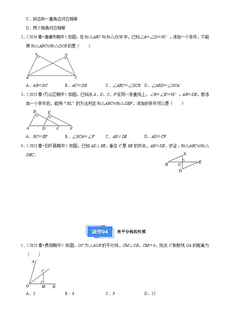 专题02 全等三角形（4大基础题+2大提升题）（原卷版）第3页