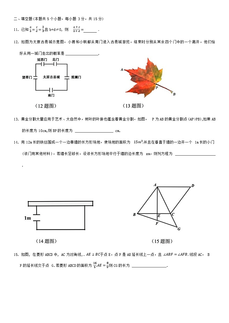 山西省实验中学2024-2025学年九年级上学期11月期中数学试题03