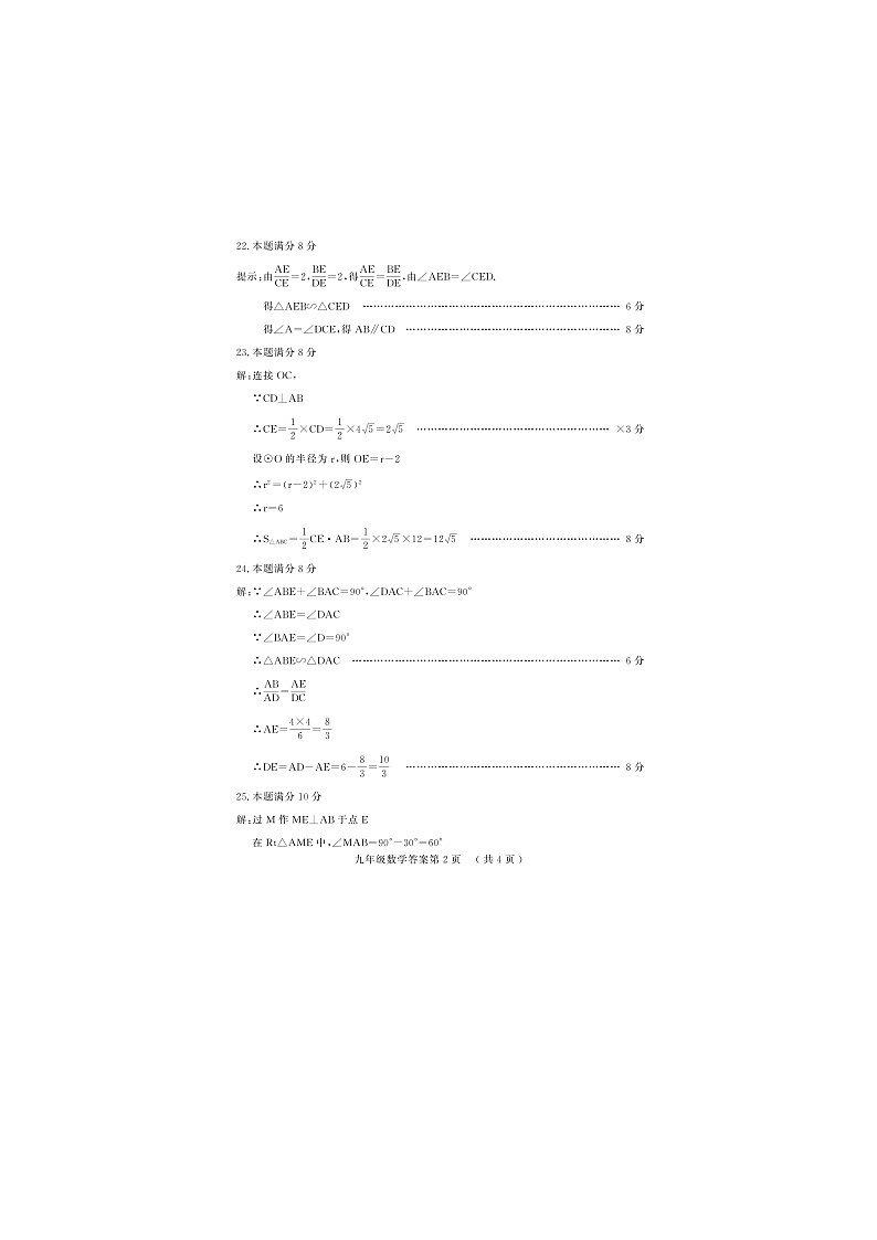 山东省菏泽市曹县2024-2025学年九年级上学期11月期中数学试题02