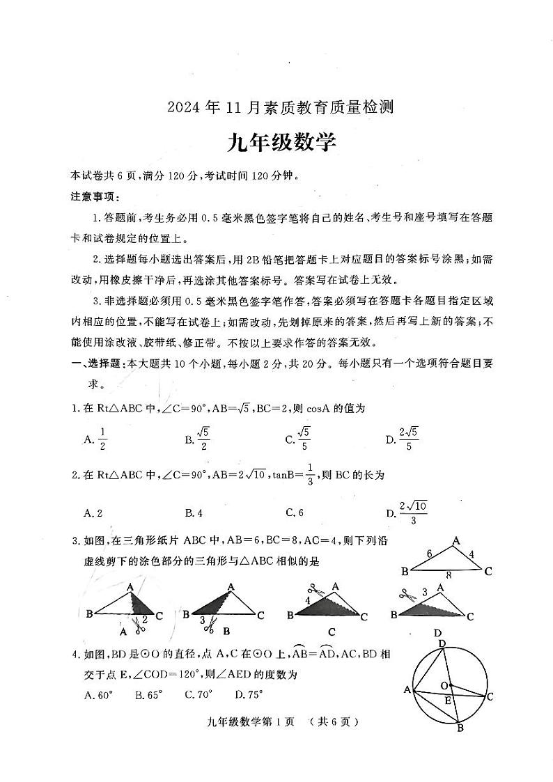 山东省菏泽市曹县2024-2025学年九年级上学期11月期中数学试题01