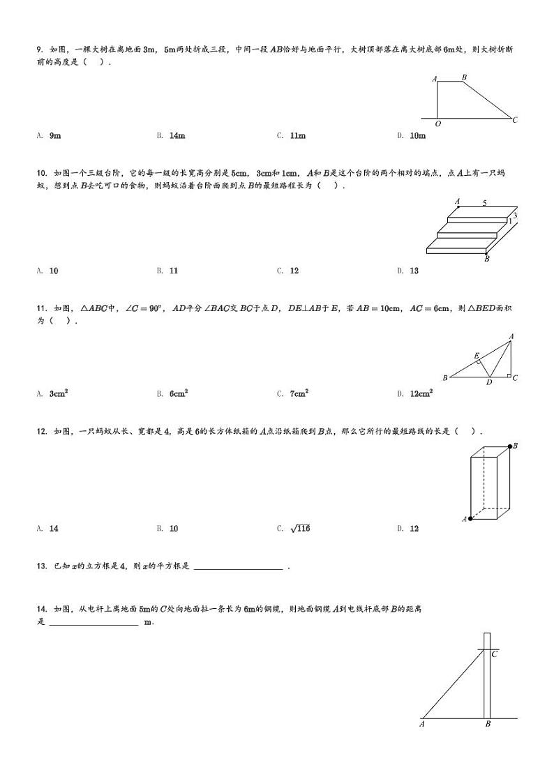 河北省保定市莲池区第一实验中学2023-2024学年八年级(上)月考数学试题[原题+解析]第2页