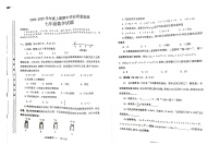 河南省漯河市临颍县2024-2025学年七年级上学期11月期中数学试题