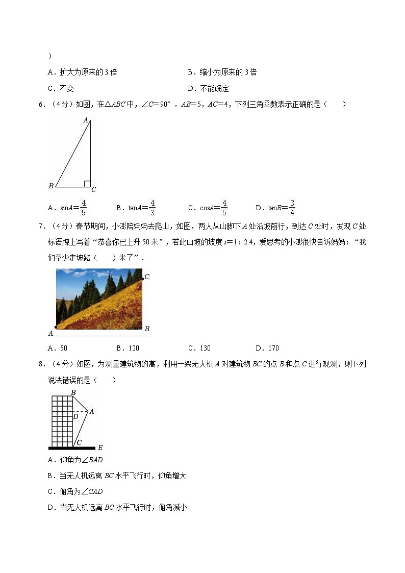 山东省聊城市阳谷县2024-2025学年九年级上学期期中数学试卷02