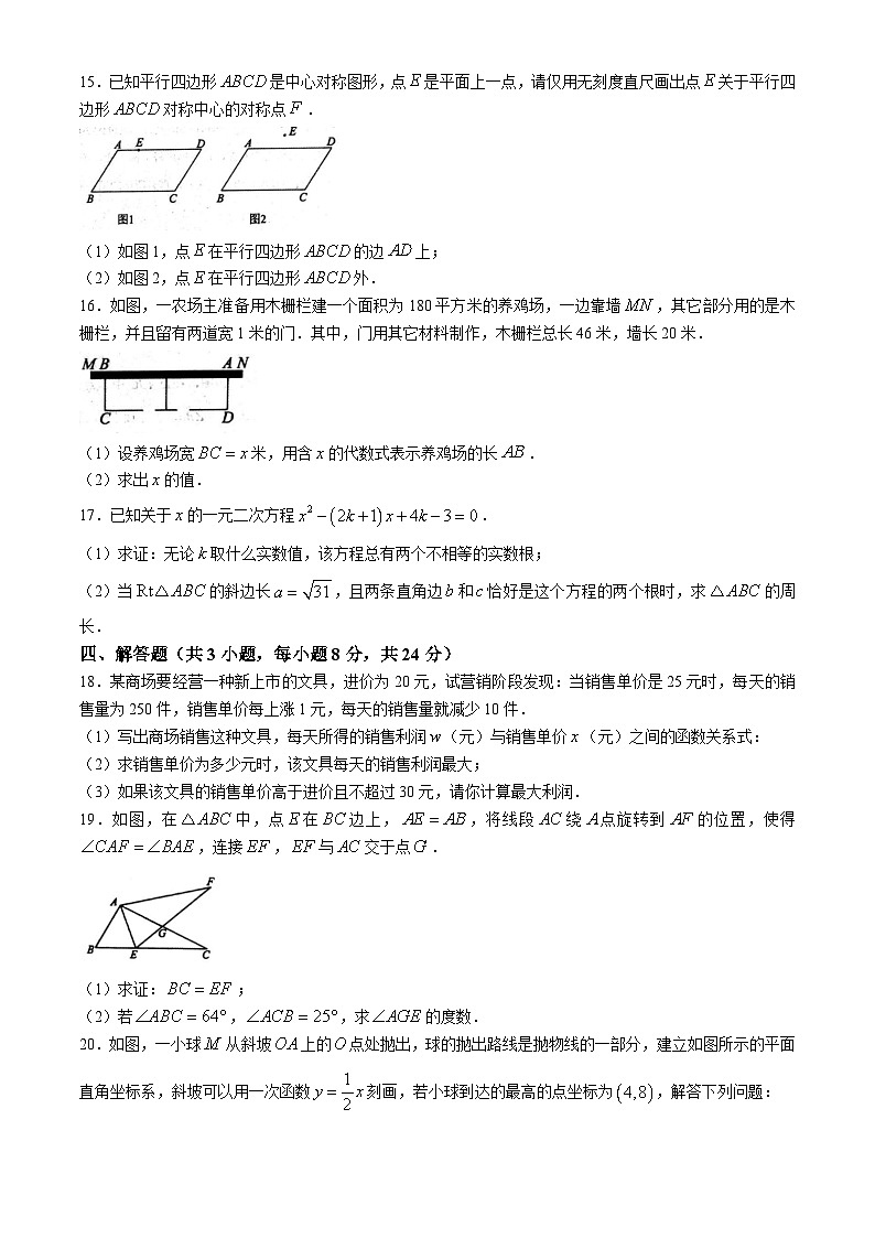 江西省南昌市南昌县2024-2025学年九年级上学期期中考试数学试卷03