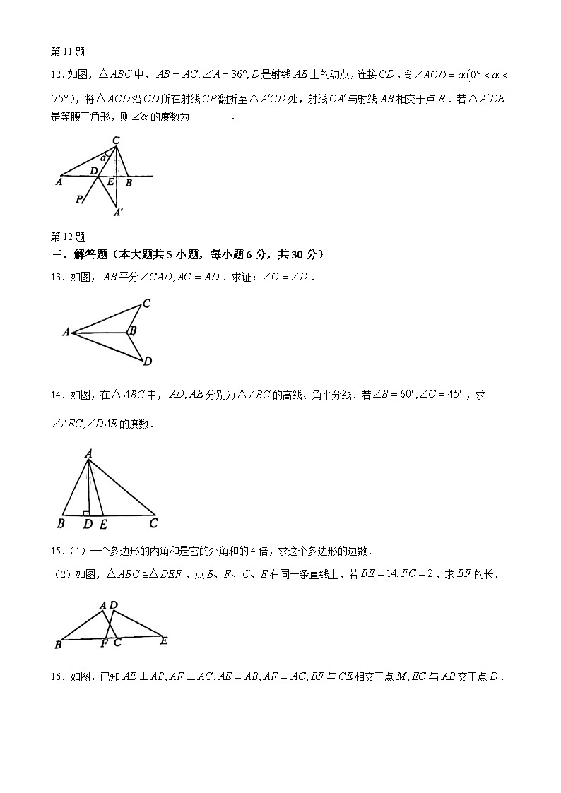江西省赣州市瑞金市2024—2025学年上学期期中考试八年级数学考试试题(无答案)第3页