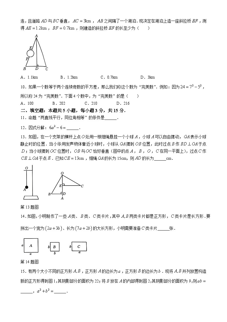 河南省新乡市封丘县2024-2025学年八年级上学期11月期中考试数学试题第2页