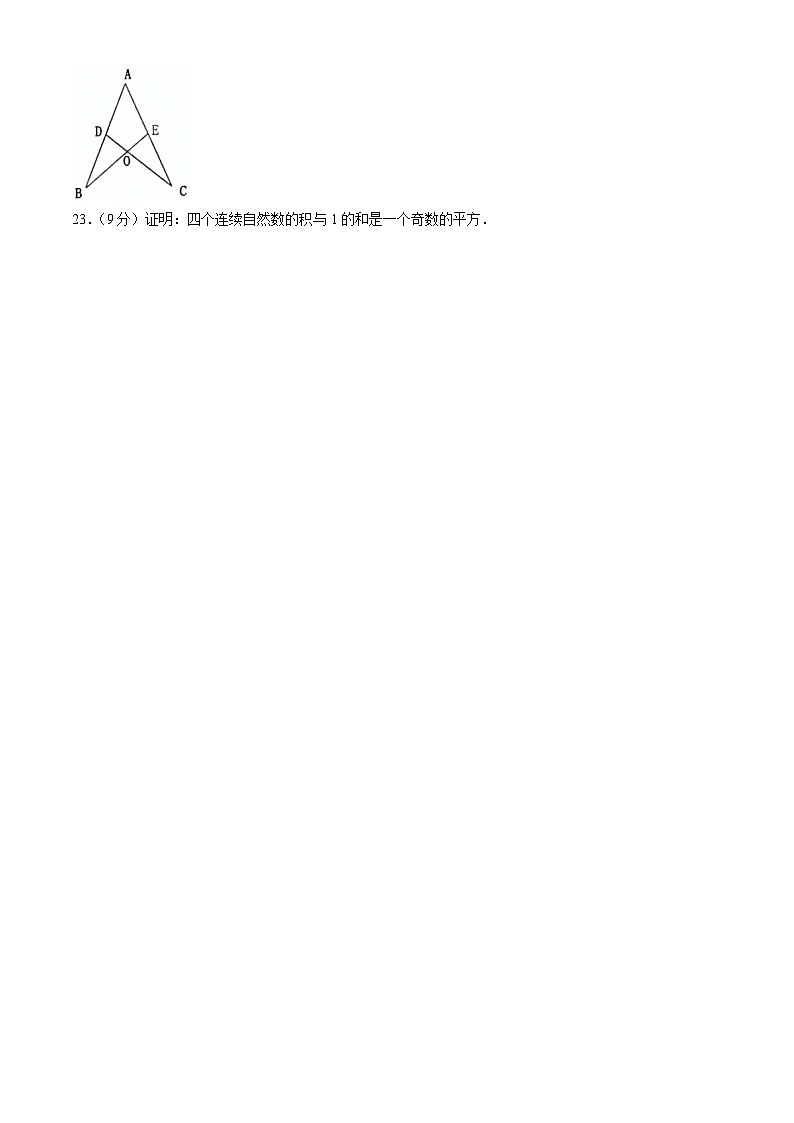 河南省洛阳市宜阳县2024-2025学年八年级上学期期中考试数学试题第3页