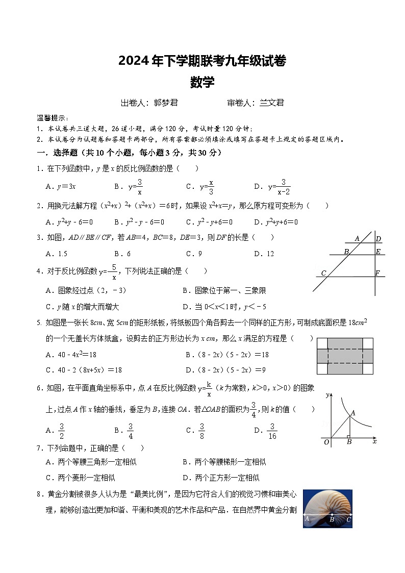 2024年下学期联考九年级期中数学试卷第1页