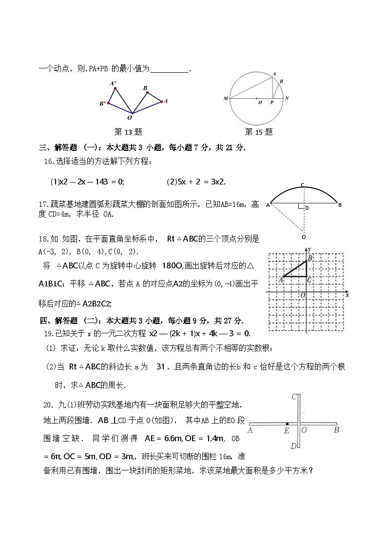 广东省东莞市沙田瑞风实验学校2024-2025学年上学期九年级期中考试数学试卷03