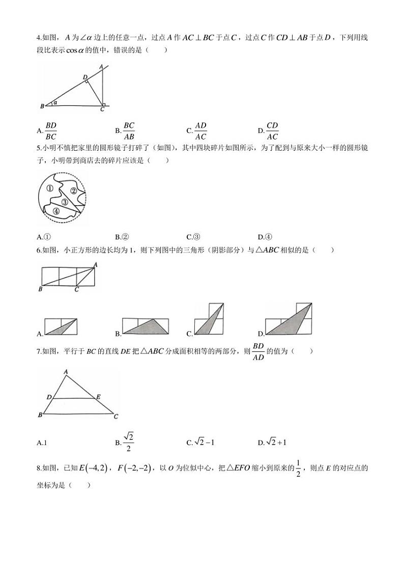 山东省聊城市冠县2024～2025学年九年级上学期11月期中考试数学试题（含答案）第2页