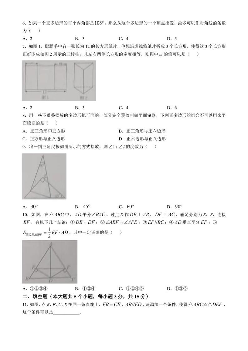 山西省朔州市右玉县右玉教育集团初中部2024～2025学年八年级上学期11月期中数学试题（含答案）02