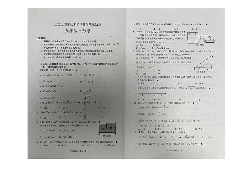 四川省宜宾市翠屏区2024-2025学年九年级上学期11月期中考试数学试题第1页