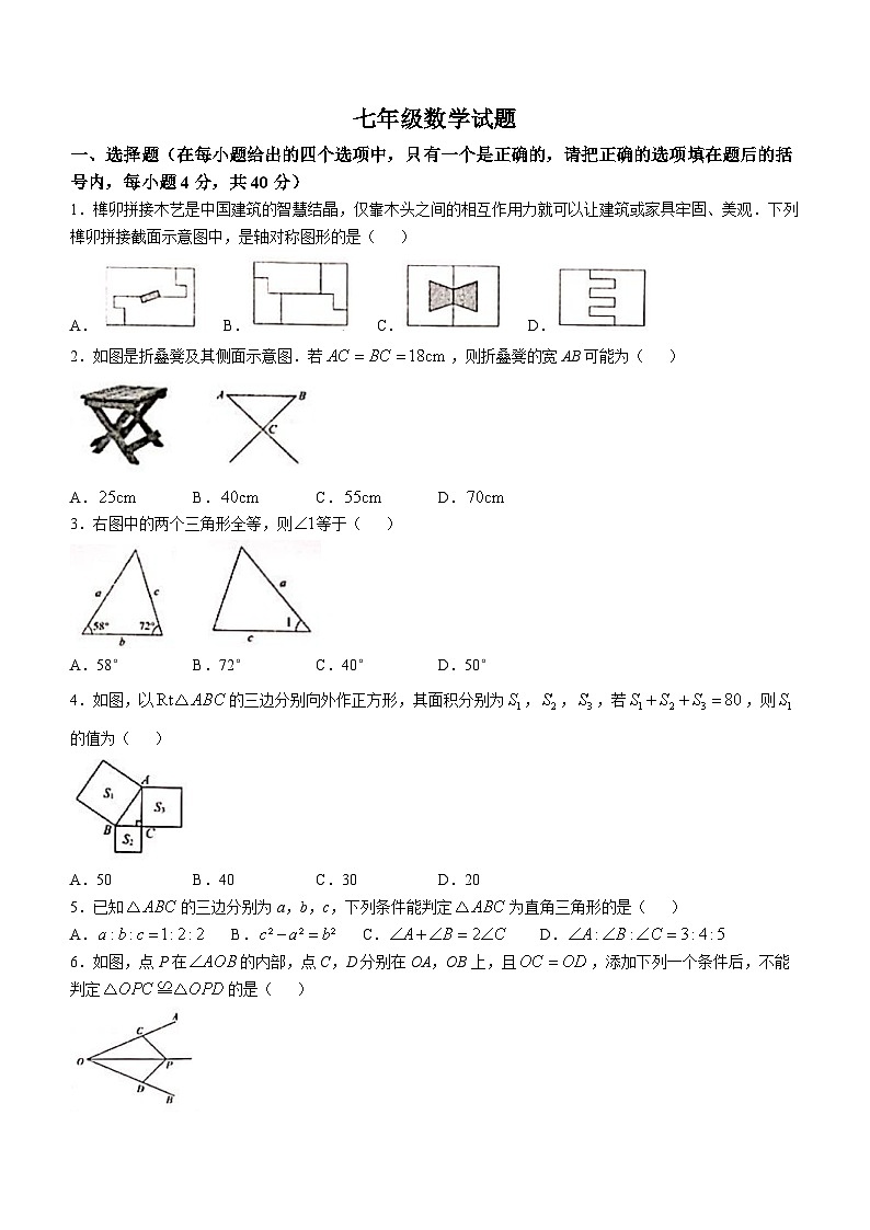 山东省淄博市周村区2024-2025学年七年级上学期11月期中数学试题(无答案)01