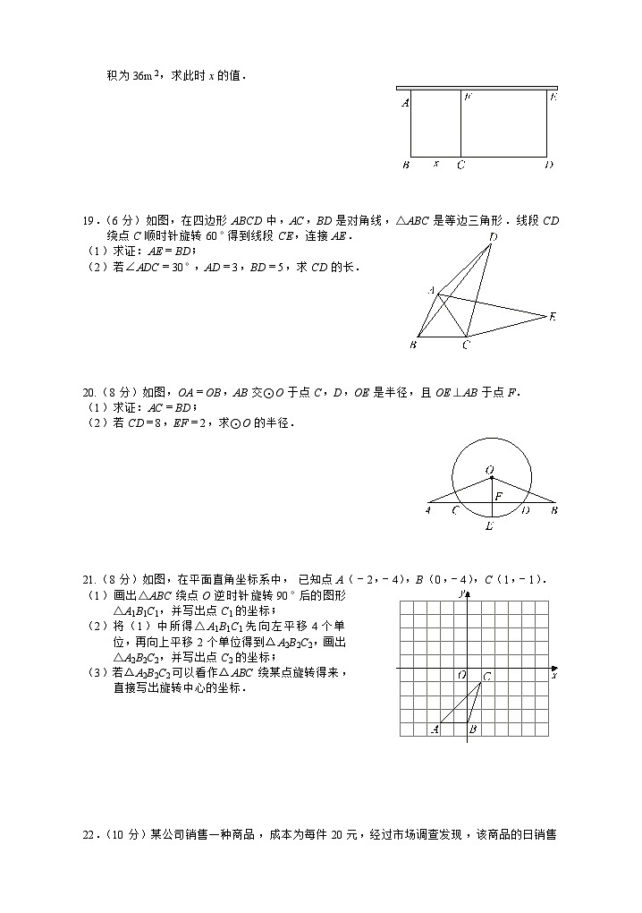 湖北省大冶市2024-2025学年九年级上学期期中考试数学试卷（word版含答案）第3页