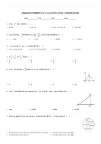 湖南省株洲市醴陵市2023-2024学年九年级(上)期末数学试卷(含解析)