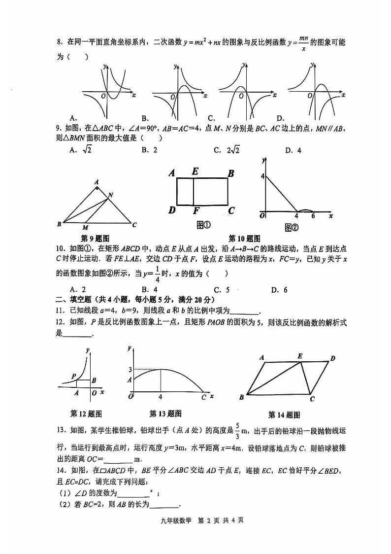 安徽省合肥市五十中学天鹅湖校区2024-2025学年九年级上学期期中考试数学试题02