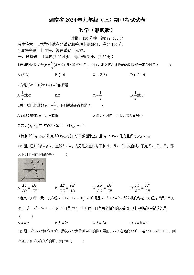 湖南省娄底市娄星区2024—2025学年上学期八年级数学期中试题01
