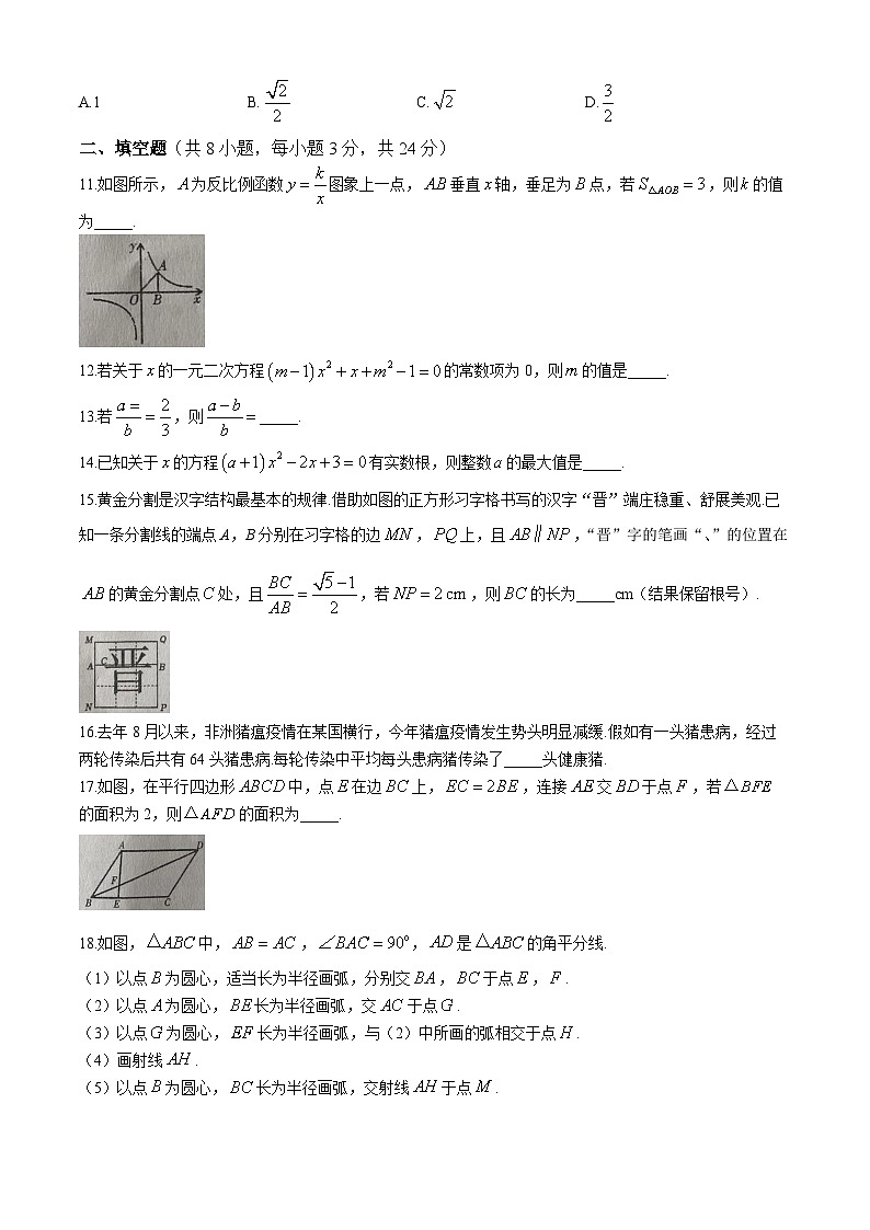 湖南省娄底市娄星区2024—2025学年上学期八年级数学期中试题03