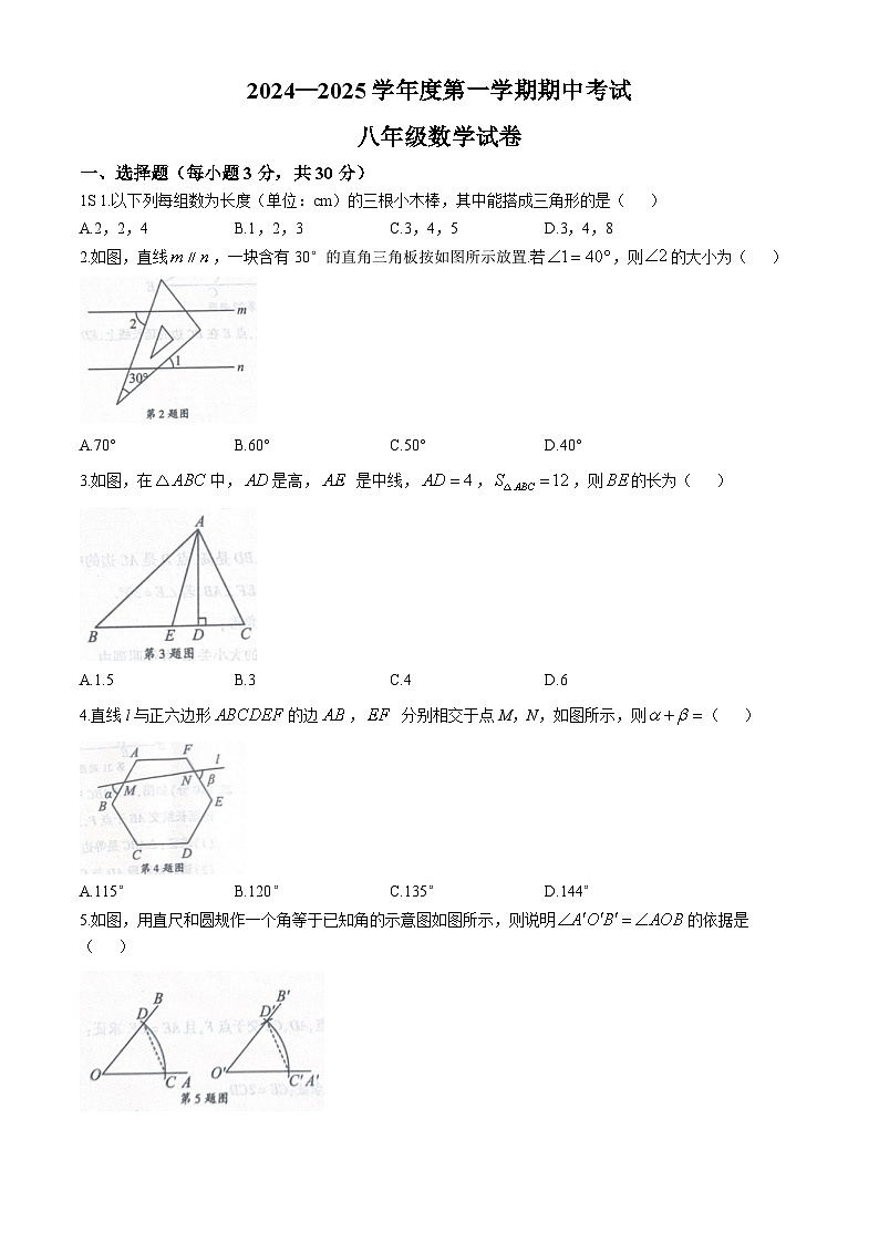 河南省商丘市夏邑县2024-2025学年八年级上学期11月期中数学试题第1页