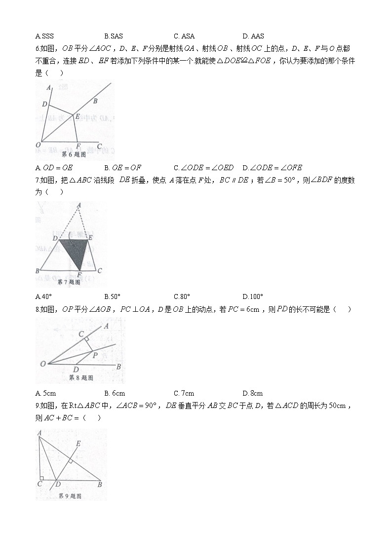 河南省商丘市夏邑县2024-2025学年八年级上学期11月期中数学试题第2页