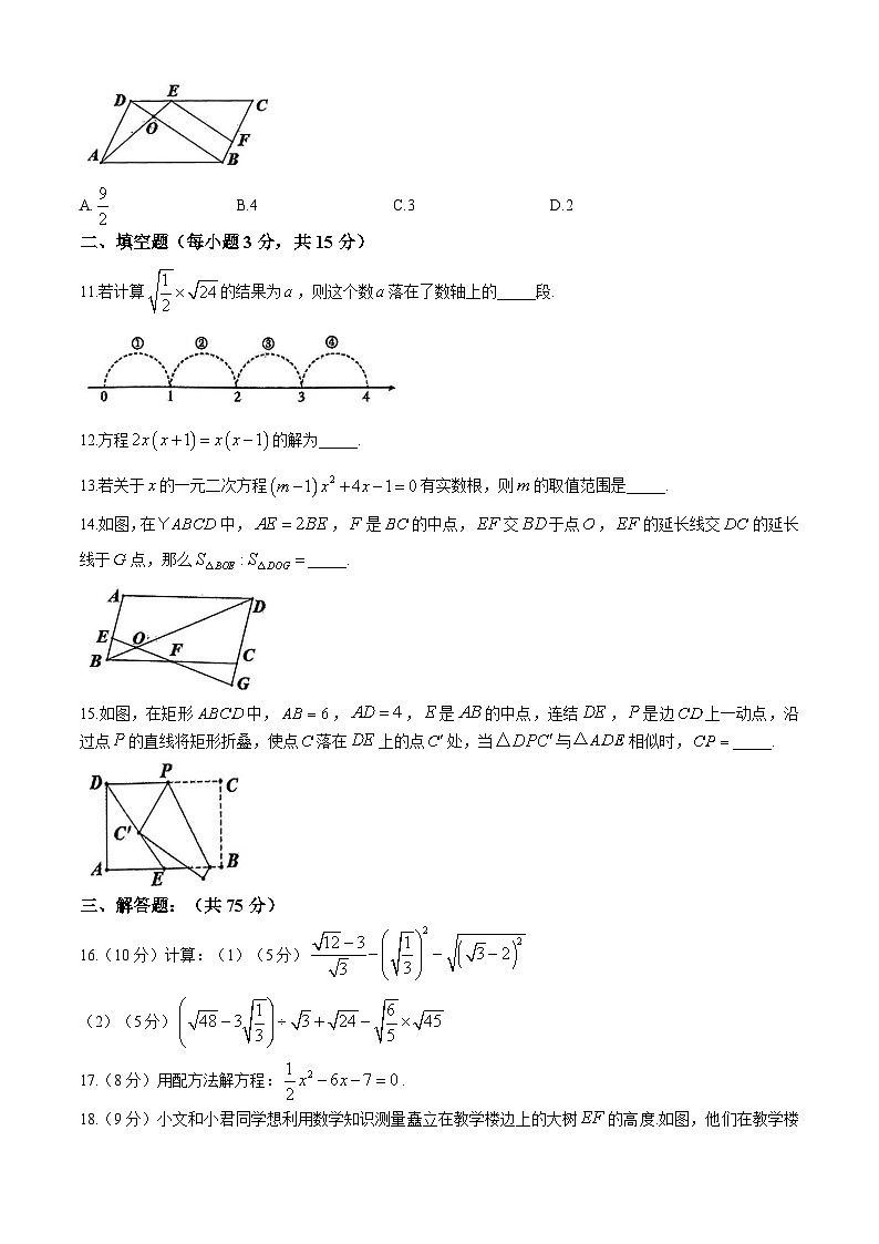 河南省南阳市新野县2024-2025学年九年级上学期11月期中考试数学试题03