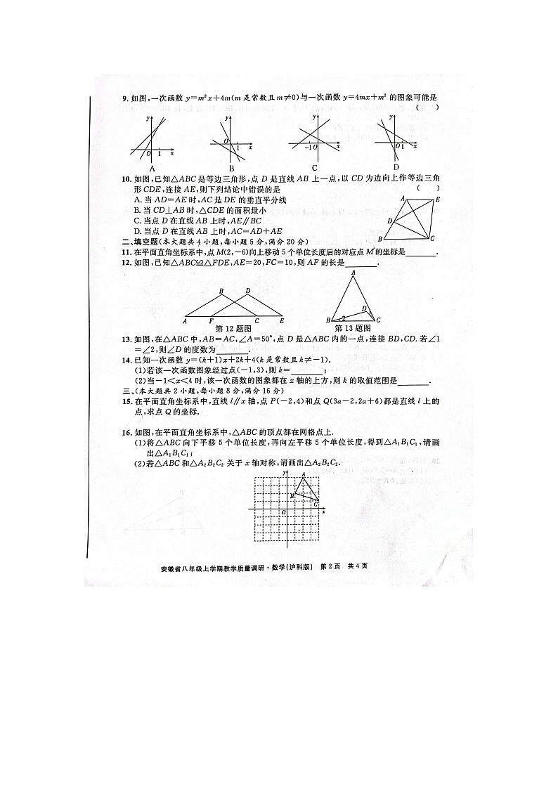 2023-2024学年安徽省亳州市八年级（上）期末数学试卷第2页
