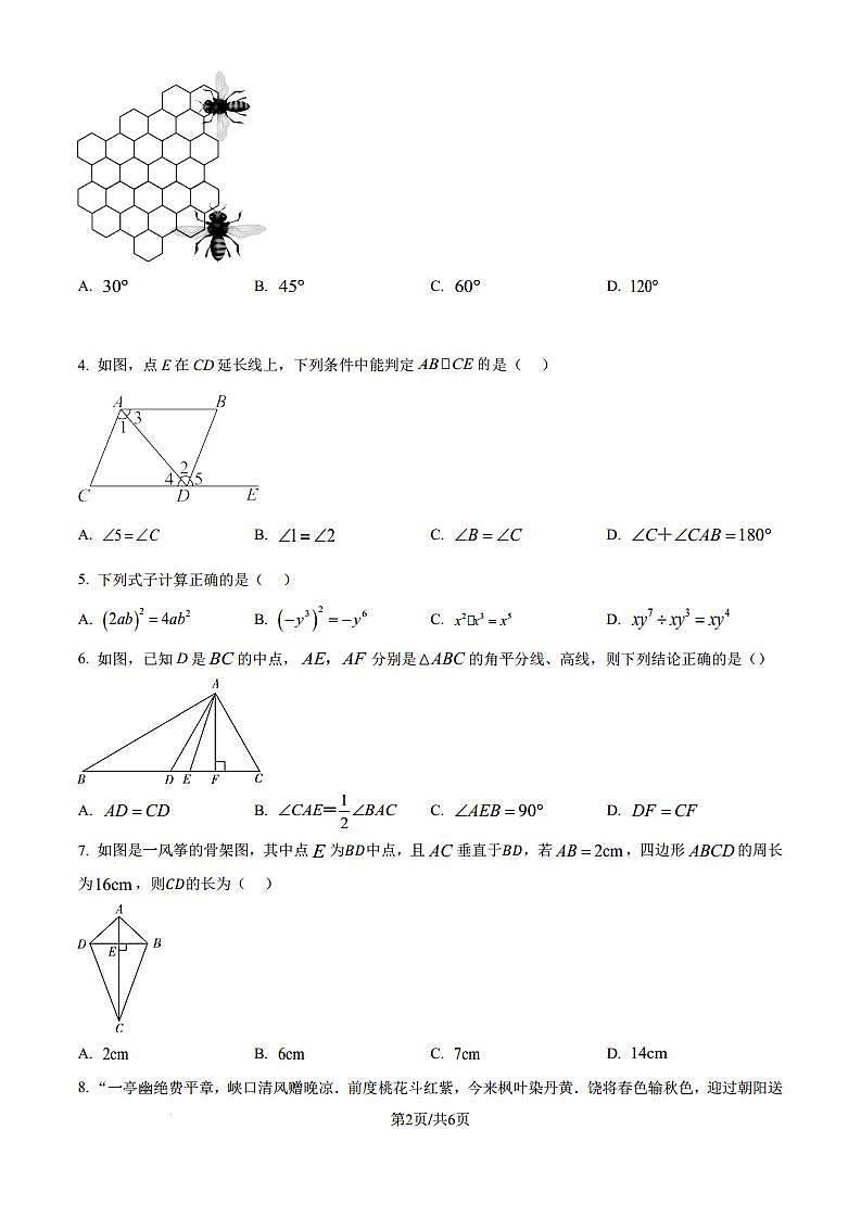 长沙一中教育集团2024-2025学年八年级上学期期中考试数学试题（含答案）第2页