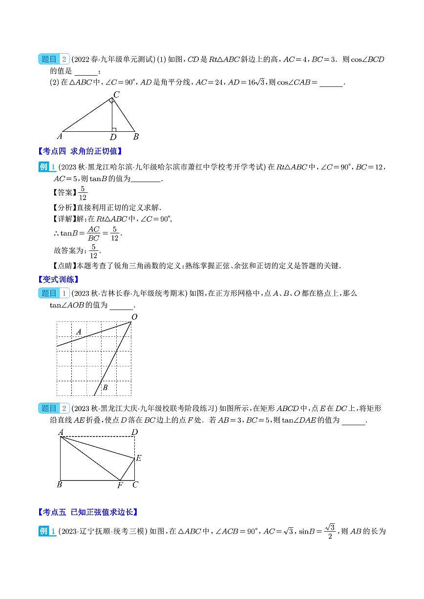 锐角三角形函数与特殊角的三角函数值之九大考点(学生版)第3页
