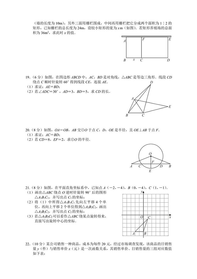 湖北省黄石市大冶市2024～2025学年九年级(上)期中数学试卷(含答案)第3页