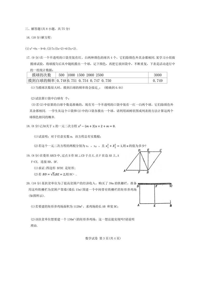 河南省平顶山市第四十一中学教育集团2024～2025学年九年级(上)期中数学试卷(含答案)03