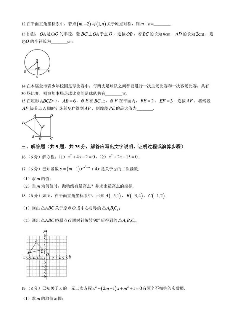 湖北省荆州市监利市2024～2025学年(上)九年级期中学业水平监测数学试卷(含答案)03