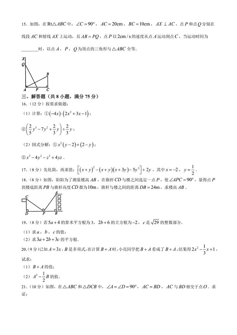 河南省周口市商水县2024～2025学年八年级(上)数学期中测试卷(含答案)03