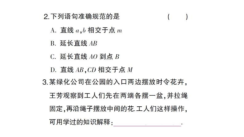 初中数学新人教版七年级上册6.2.1 直线、射线、线段作业课件（2024秋）第3页