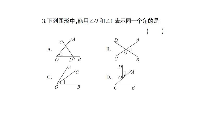 初中数学新人教版七年级上册6.3.1 角的概念作业课件（2024秋）04