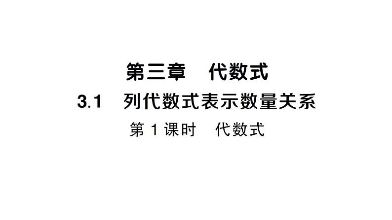 初中数学新人教版七年级上册3.1第1课时 代数式课堂练习课件（2024秋）第1页