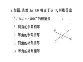 初中数学新人教版七年级上册6.3.3 余角和补角课堂练习课件（2024秋）
