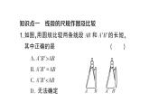 初中数学新人教版七年级上册6.2.2 线段的比较与运算作业课件（2024秋）
