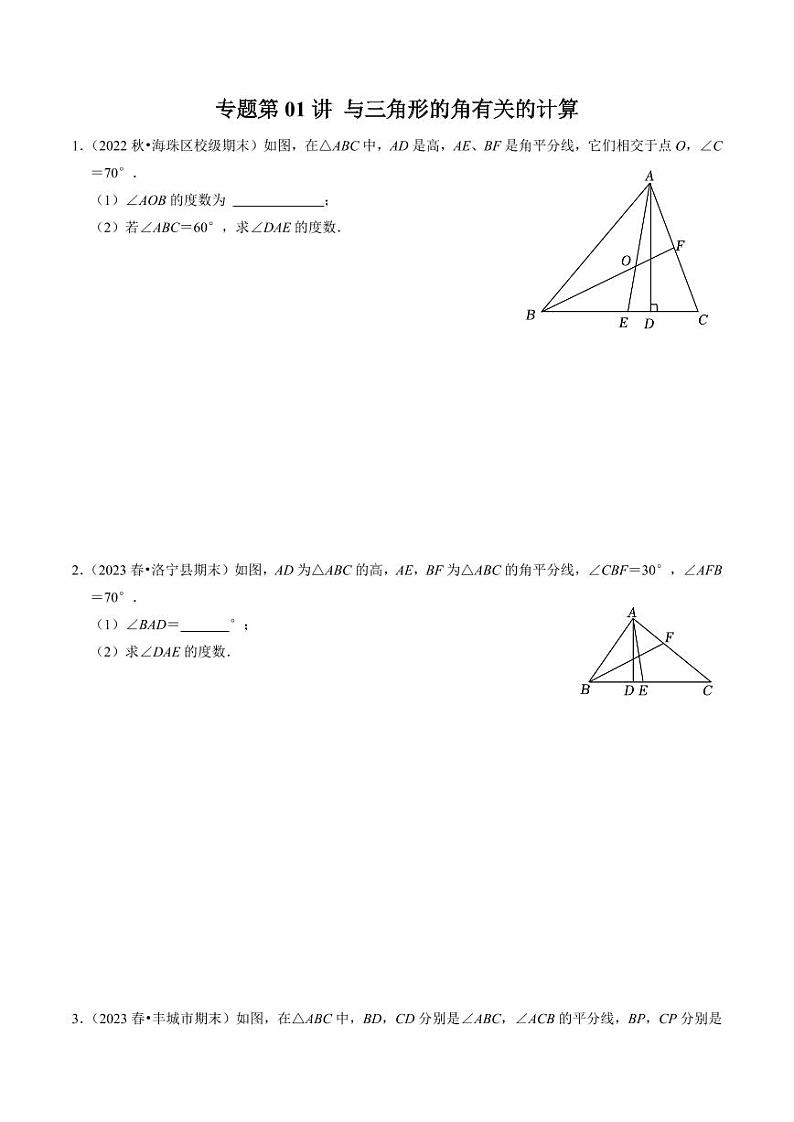专题01 与三角形的角有关的计算（30题）（原卷版）-2024-2025学年八年级数学上册同步学与练（人教版）第1页