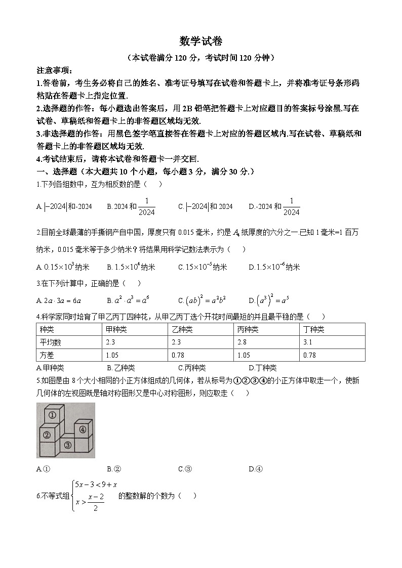 湖北省黄石市黄石港区2024-2025学年九年级上学期11月期中考试数学试题(无答案)第1页