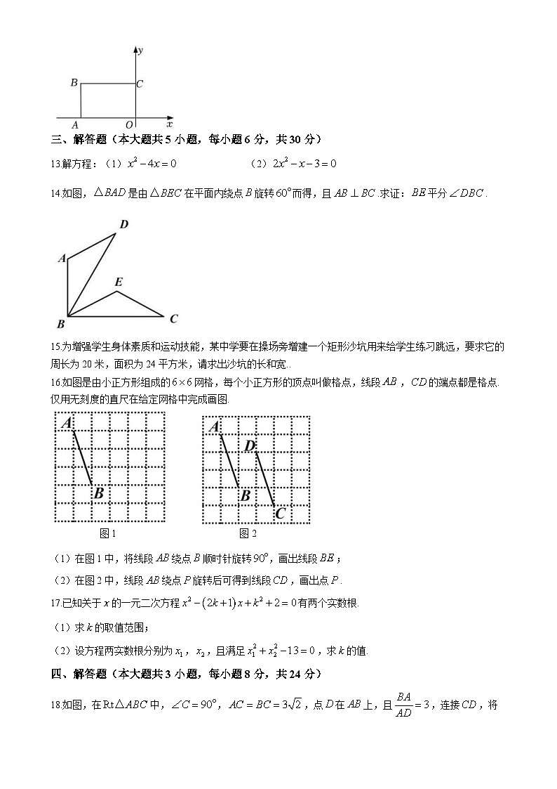 江西省赣州市上犹县2024—2025学年九年级上学期期中考试数学试题第3页